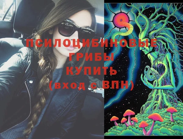 хмурый Зеленодольск