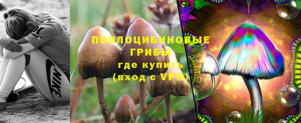 каннабис Зерноград
