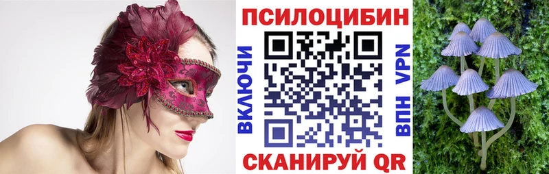 Галлюциногенные грибы Psilocybe Менделеевск