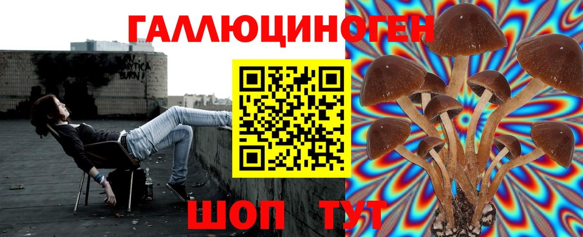 Псилоцибиновые грибы прущие грибы Менделеевск